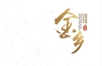 金乡县招商局画册